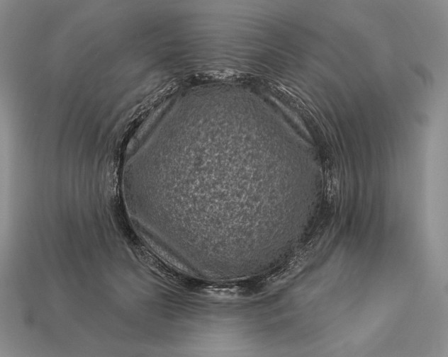 X0000113160606200909181813