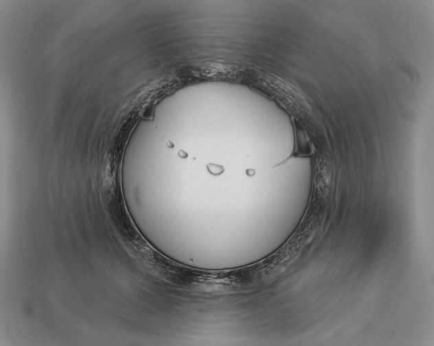 X0000113160607200909181813