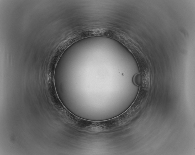 X0000113160608200909181813