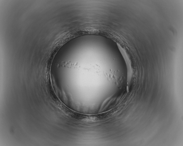 X0000113160609200909181813