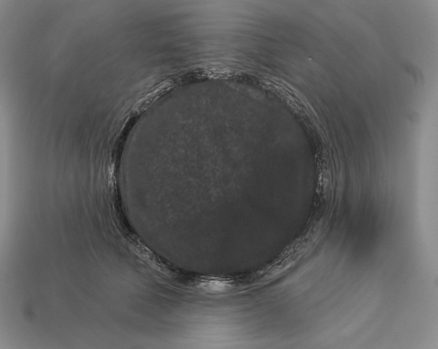 X0000113160610200909181813