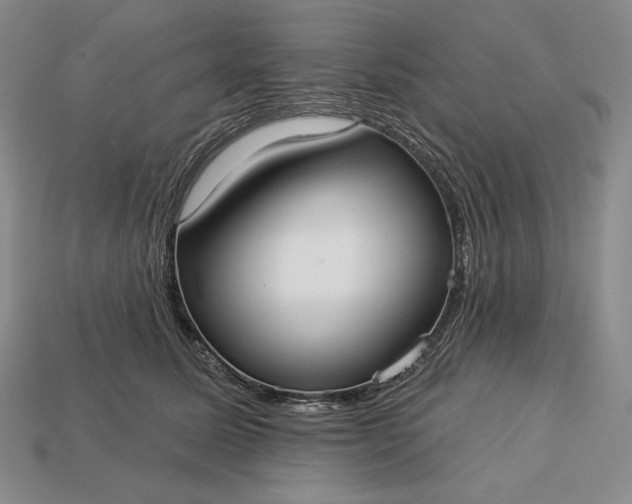 X0000113160611200909181813