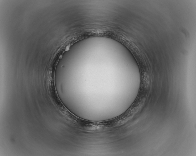 X0000113160612200909181813