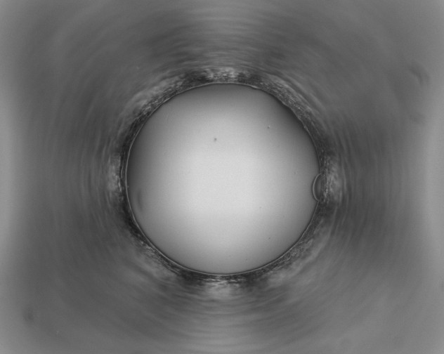 X0000113160616200909181813