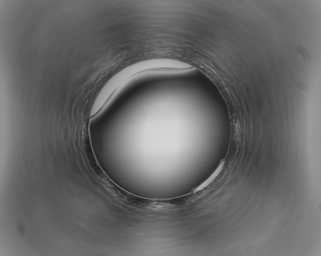 X0000113160617200909181813