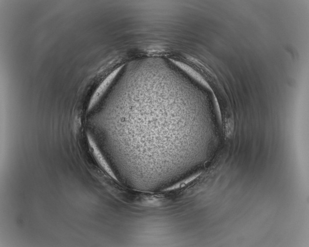 X0000113160618200909181813