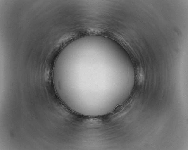 X0000113160619200909181813