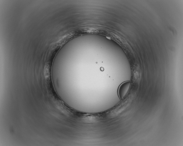 X0000113160620200909181813