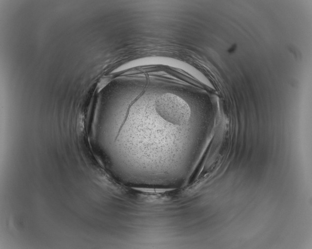 X0000113160621200909181813