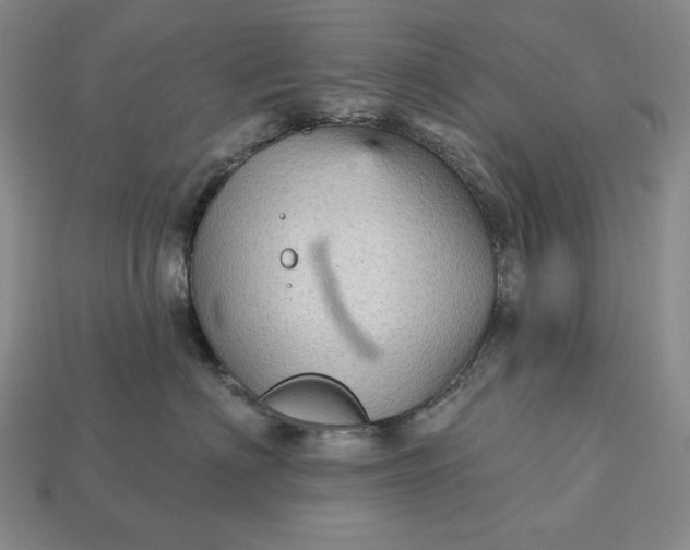 X0000113160622200909181812