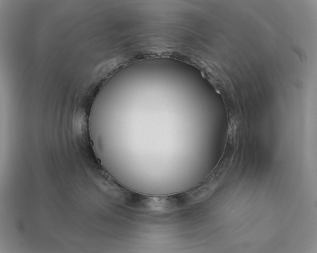 X0000113160623200909181812