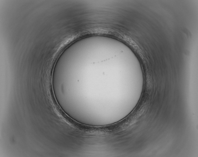 X0000113160625200909181812