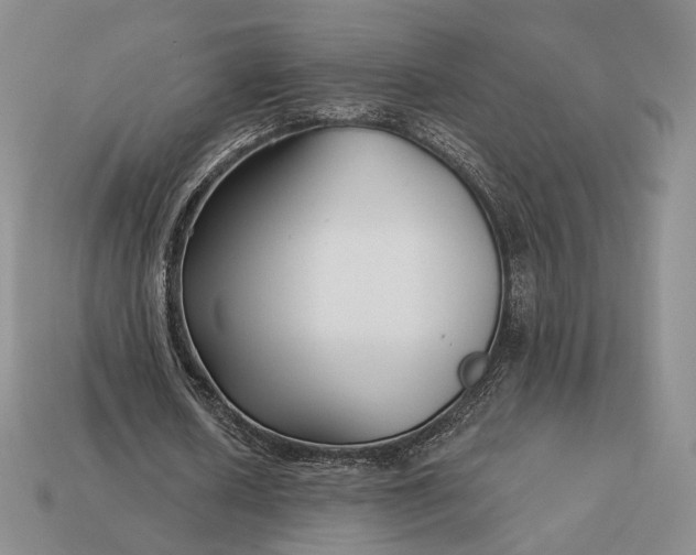 X0000113160626200909181812