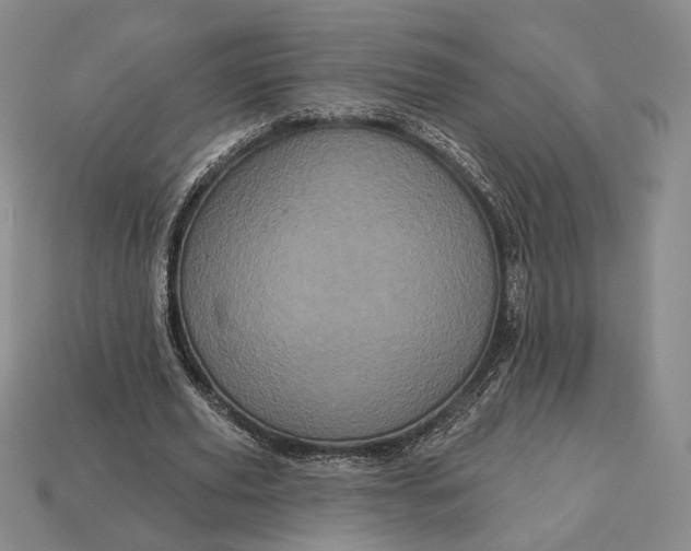 X0000113160629200909181812