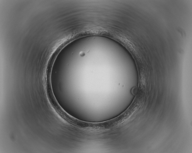 X0000113160630200909181812