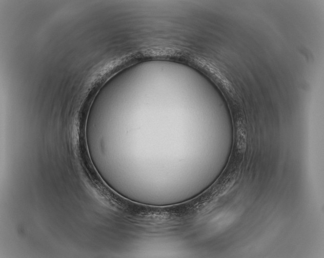 X0000113160631200909181812