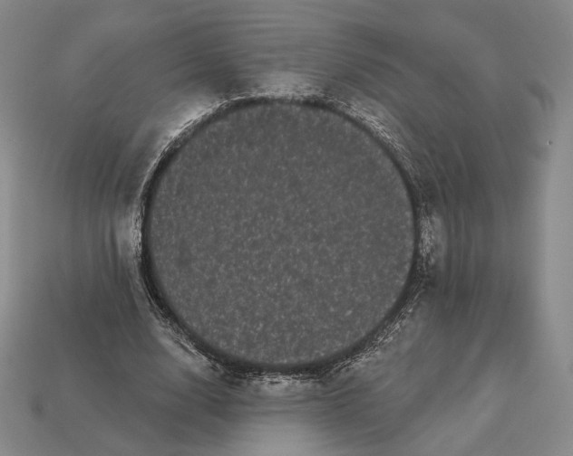 X0000113160632200909181812