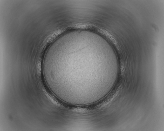 X0000113160633200909181812