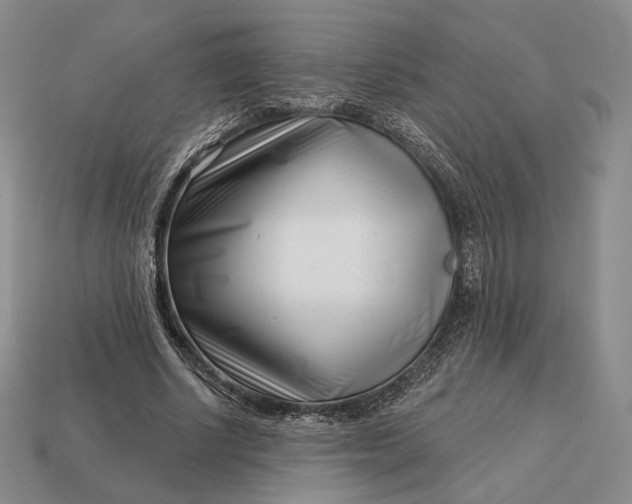 X0000113160634200909181812