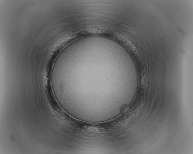 X0000113160635200909181812