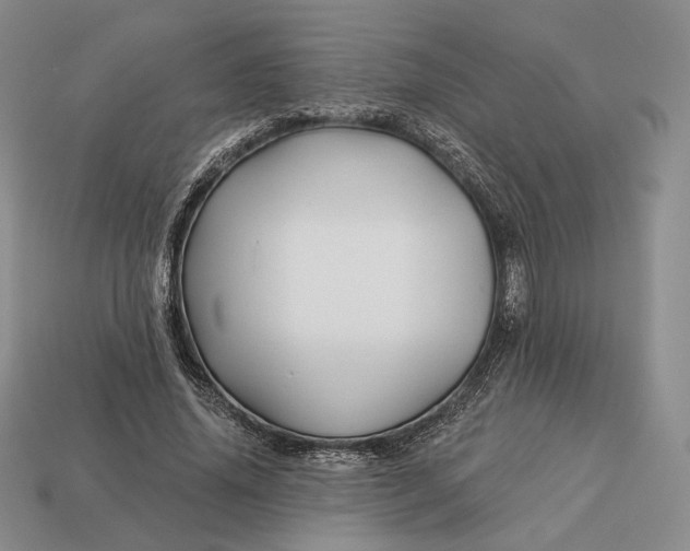 X0000113160636200909181812