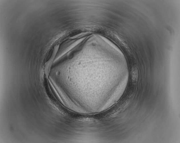 X0000113160637200909181812