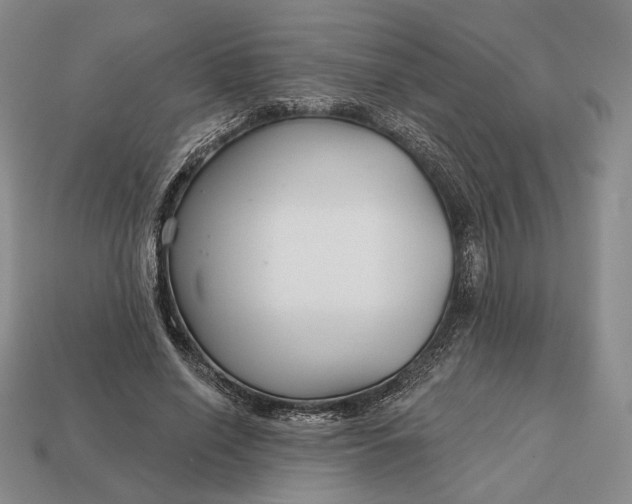 X0000113160638200909181812