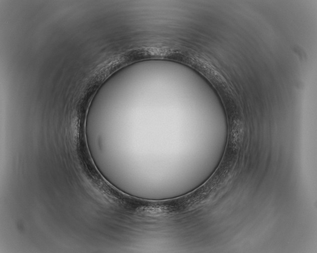 X0000113160639200909181812