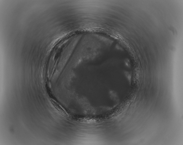 X0000113160640200909181812