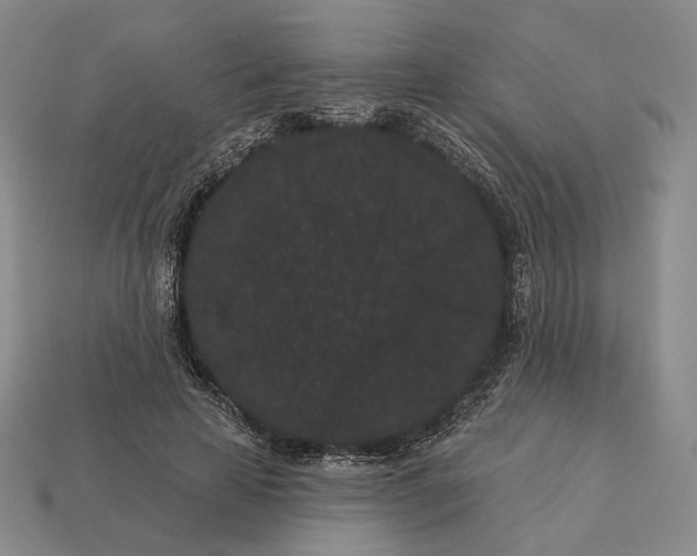 X0000113160641200909181812