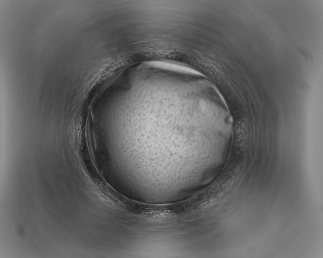 X0000113160642200909181812