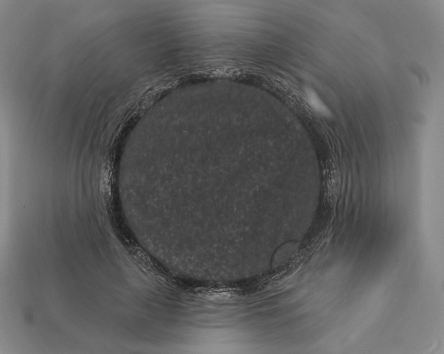 X0000113160643200909181812