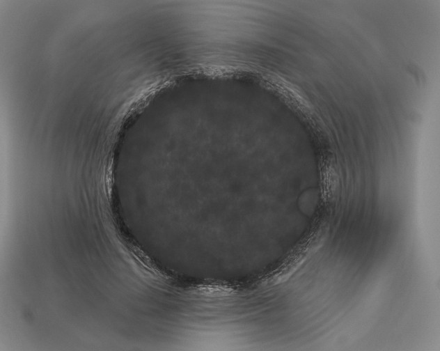 X0000113160644200909181812