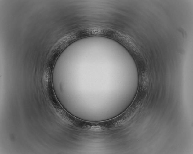 X0000113160645200909181812