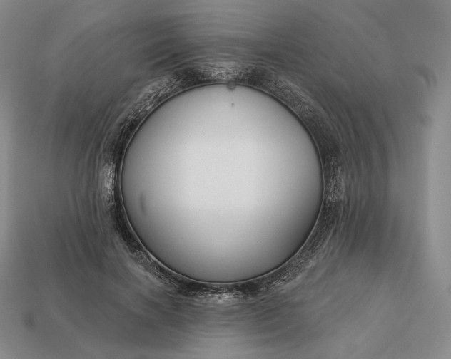 X0000113160646200909181812