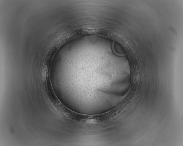 X0000113160647200909181812