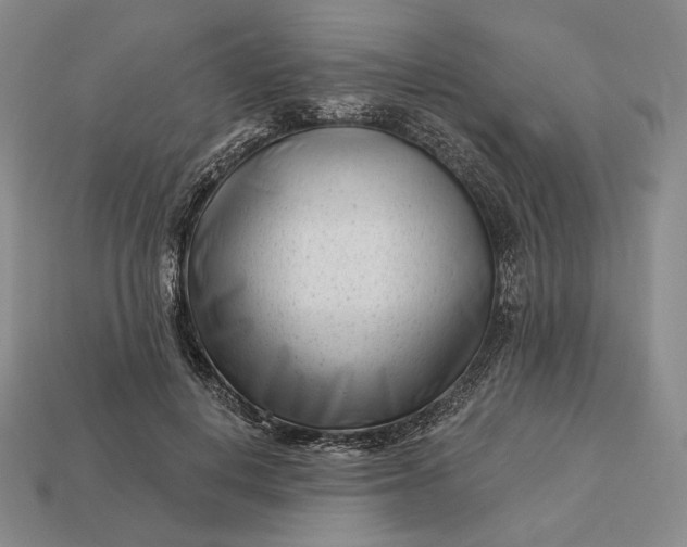 X0000113160648200909181812