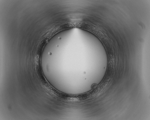 X0000113160649200909181812