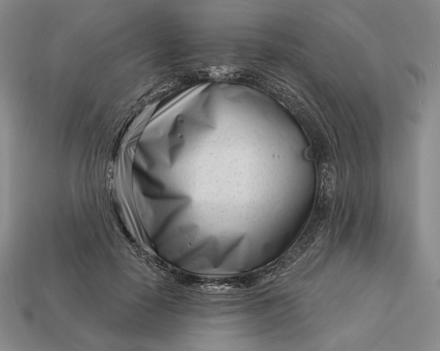 X0000113160650200909181812