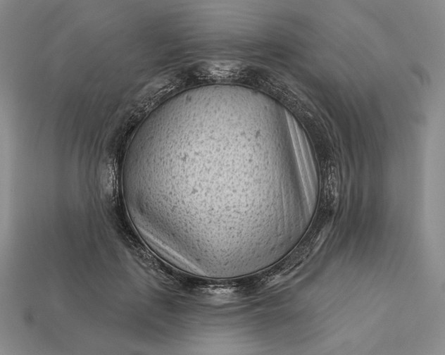 X0000113160651200909181812