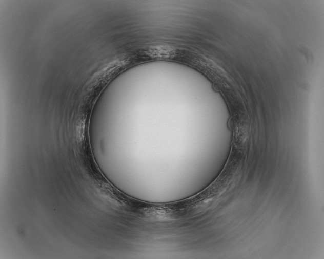 X0000113160652200909181812