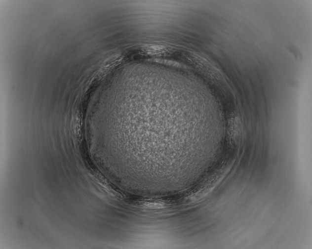 X0000113160653200909181812