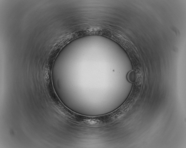 X0000113160654200909181812