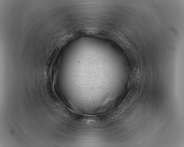 X0000113160655200909181812