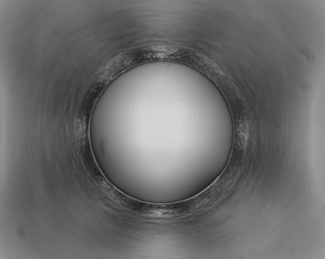 X0000113160657200909181812