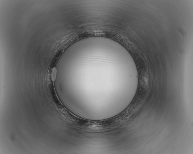 X0000113160658200909181812