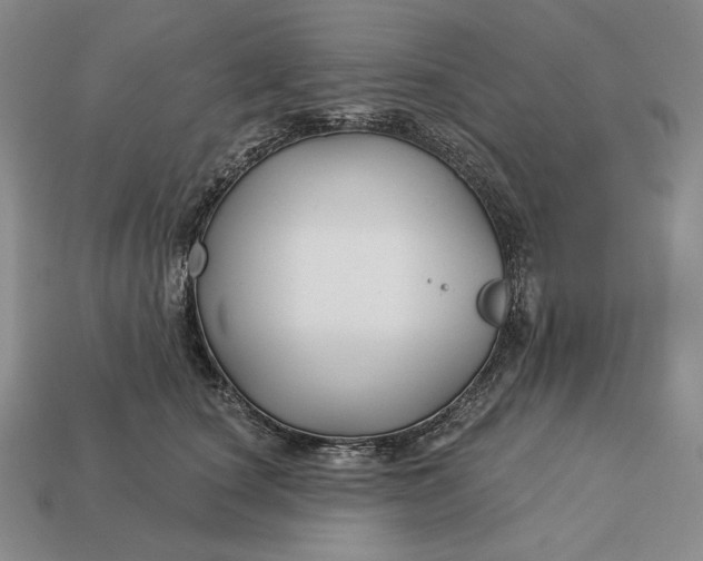 X0000113160660200909181812