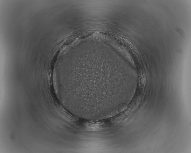 X0000113160661200909181812