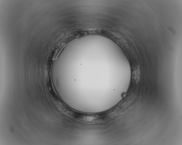 X0000113160662200909181812