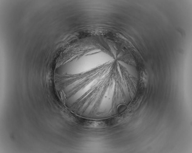 X0000113160663200909181812